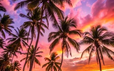 mydominica.com