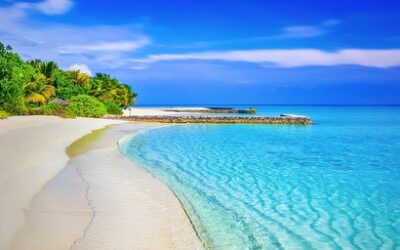 mycaymanislands.com