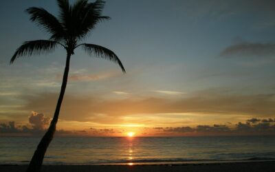 mydominicanrepublic.com