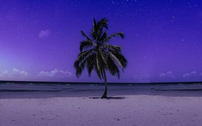 mystbarts.com