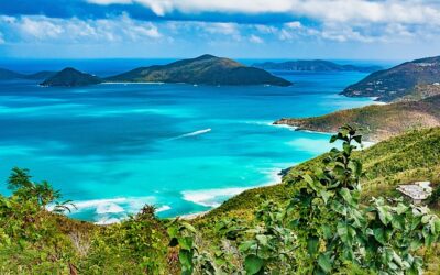 mybvi.com