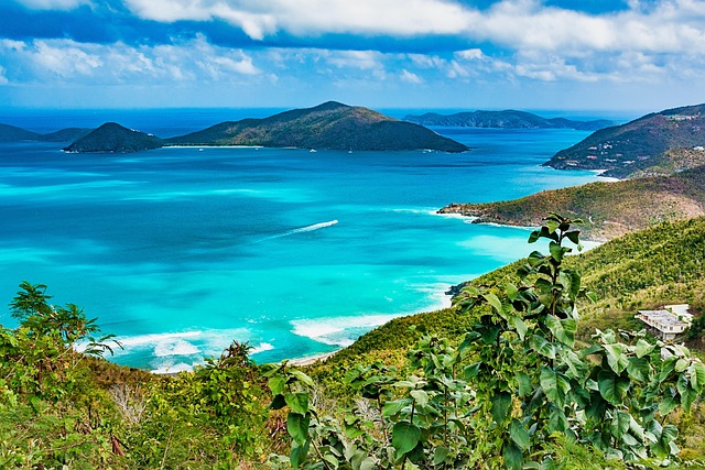 tortola-4604368_640